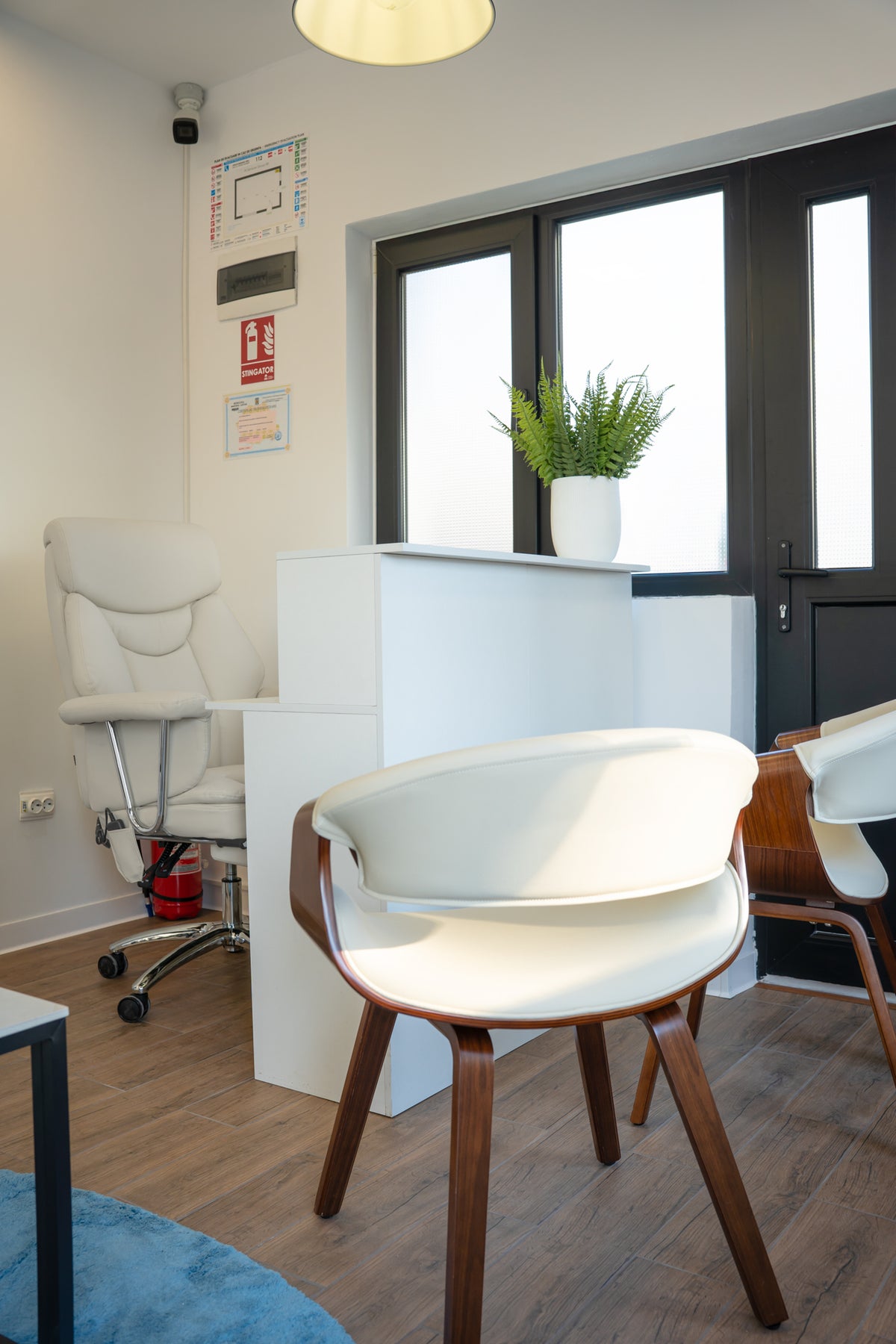 Pourquoi acheter le robot chez MetodoBlu ?